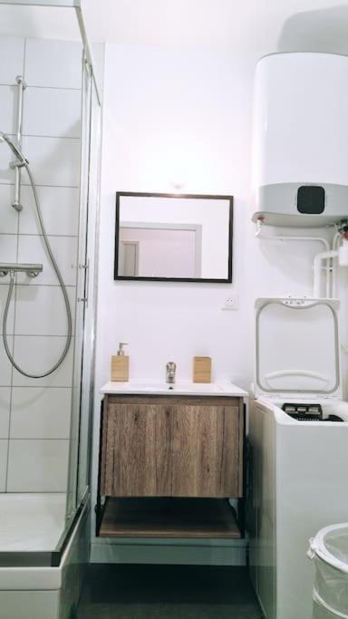 Le Cosy Central Moderne Et Chaleureux Saint-Etienne  Eksteriør bilde